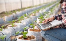 mujer-joven-controlando-plantacion
