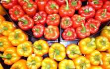 pimientos-hortalizas