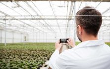 vista-posterior-hombre-haciendo-fotos-vegetacion