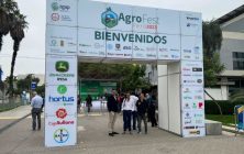 AGROFEST