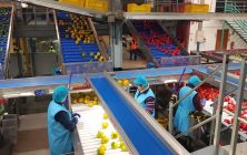 Almacen-cooperativa
