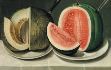 melon-y-sandia