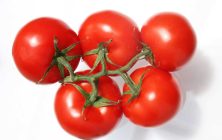 tomate-1