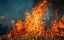 Incendio