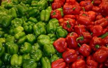Pimientos