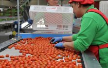 agro lider