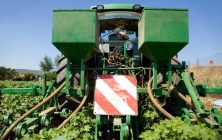 campo mujer agro