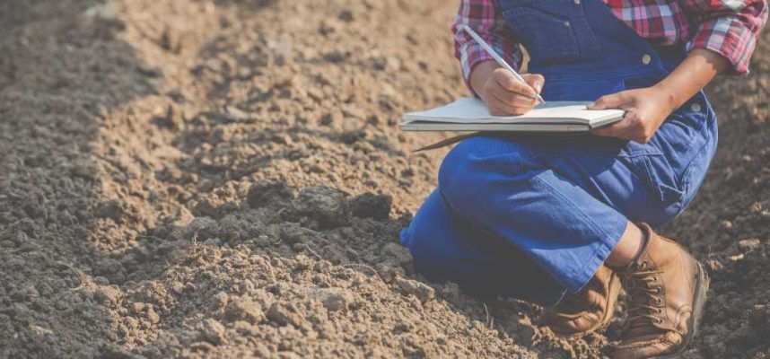 mujeres-agricultoras-estan-investigando-suelo