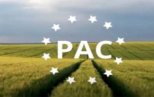 pac-ok