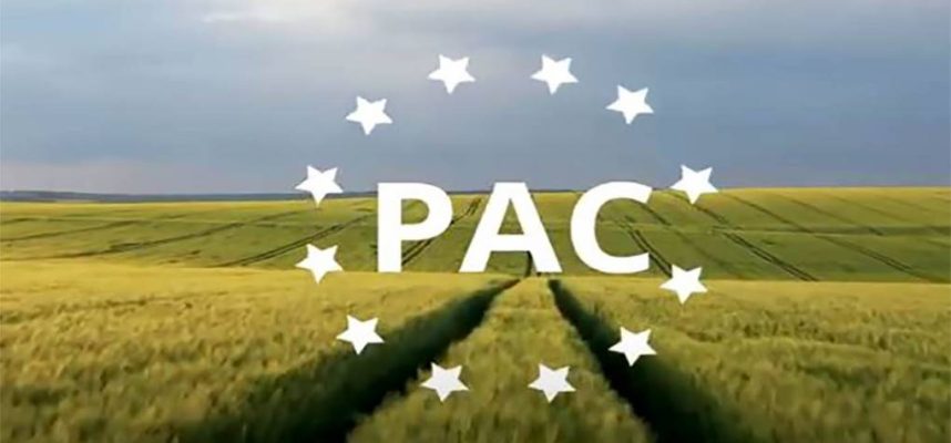 pac-ok