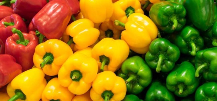 pimientos-900x521-1