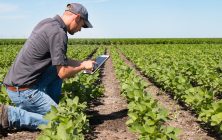 1544534603851jovenagricultorEstandar