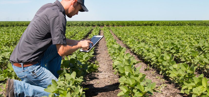 1544534603851jovenagricultorEstandar