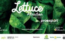 Lettuce-Attraction