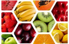 collage-frutas-e1693572923995