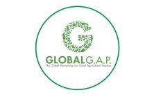 global