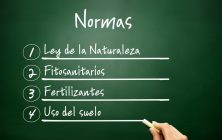Copia de Sin título (1020 × 578 px) - 1