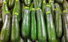 calabacines-1024x600