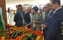 stand-gusto-del-sur-768x432