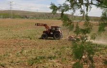 Ministerio-suelo-agricola