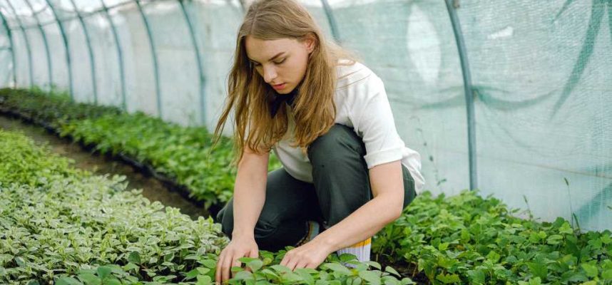 Mujer-joven-agricultura