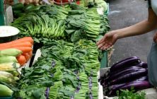 alimentos