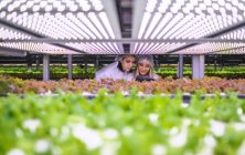 biotecnologia-agroalimentaria