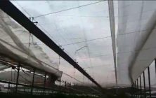 invernadero-afectado-por-vientos