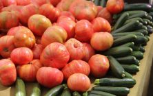tomates-y-calabaciones-1020x600