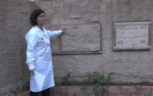 arquitecta