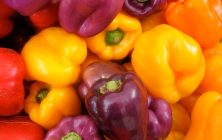 pimientos-food-defense-ok