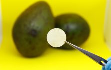 subproducto-aguacate