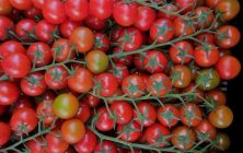 tomate-cherry