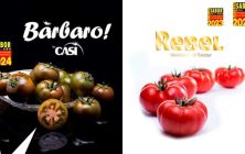Sabor-del-ano24-002-768x421