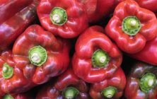 pimiento-rojo