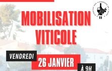 protesta-en-Francia