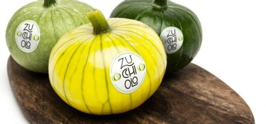 zuchhiolo-tricolor-02-q9oph3b1h3qrde8yavxx6lbl6gr3hnhby8ascbu6mu-e1704736855507