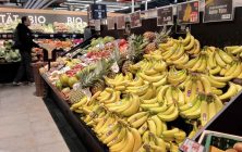 bananas