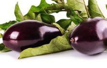 eggplant-1659784_1280-1170x600