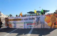 manifestacionm-paises-terceros