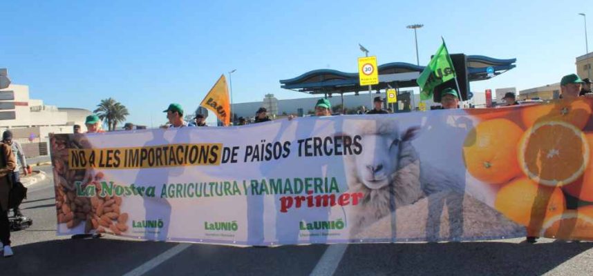 manifestacionm-paises-terceros