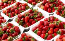 ENVASE-FRESAS