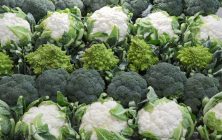 coliflorybrocoli