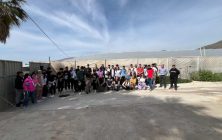 doto-grupo