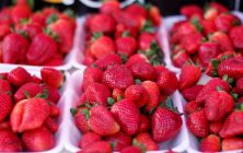 fresas