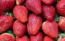 fresas-fot