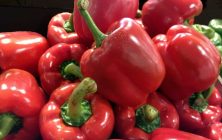 pimientos-1-1020x600