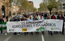 protestas-granada