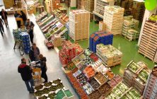 Sector-Frutas-y-Hortalizas-EmpresaExportadora-Mercabarna