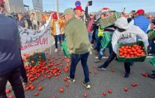 protesta